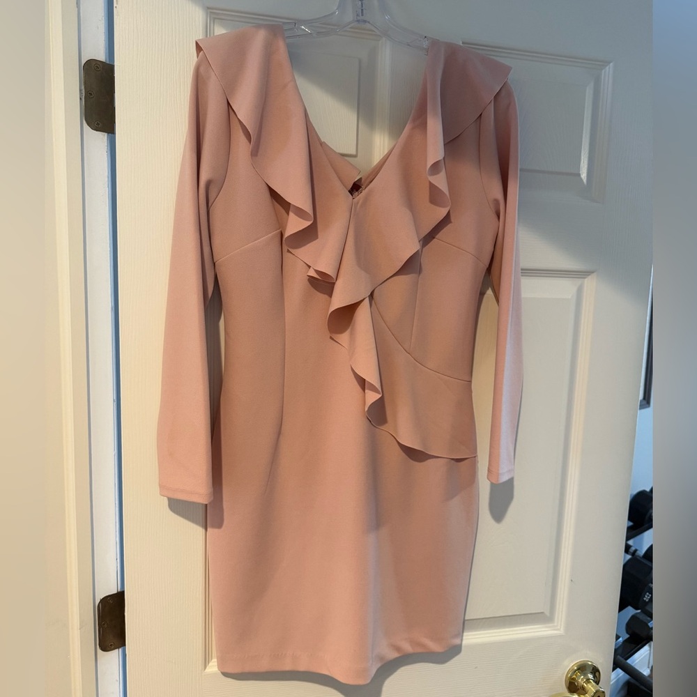 Alexia Admor Blush Long Sleeve Dress